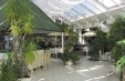 Early Booking BANSKO - Hotel Bulgaria 4*