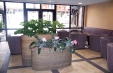 Early Booking BANSKO - Hotel Casa Karina 3*