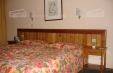 Early Booking BANSKO - Hotel Katarino Spa 4*