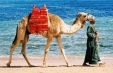 Early Booking charter Sharm El Sheikh