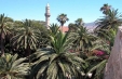 Early Booking KOS 31.03.2012
