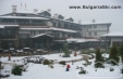 Oferta BANSKO - Hotel Tanne 4*