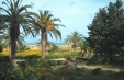Oferta speciala Tunisia - Septembrie