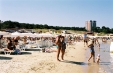 imagini 