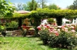 REDUCERE VARA SUNNY BEACH - Alba 4*