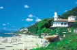 imagini 