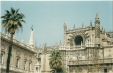 Imagini 