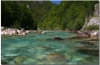 Imagini 