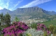 Imagini Africa de Sud - Circuit & Sejur Sun City - avion, 14 zile