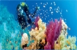 Early Booking SHARM EL SHEIKH 2025