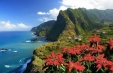 Imagini Madeira - Festivalul Florilor - avion, 7 zile