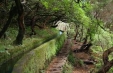 Imagini Madeira - Festivalul Florilor - avion, 7 zile