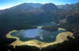 imagini 