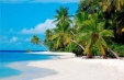 imagini 