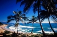 Imagini Revelion exotic Dominicana - Punta Cana - avion, 30 Decembrie